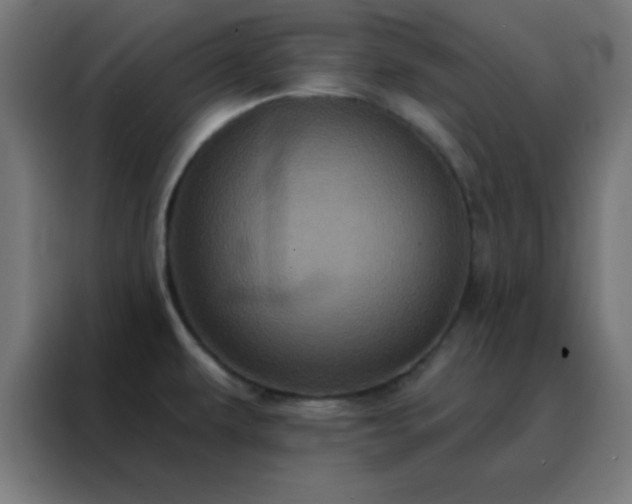 X0000088221479200705221754