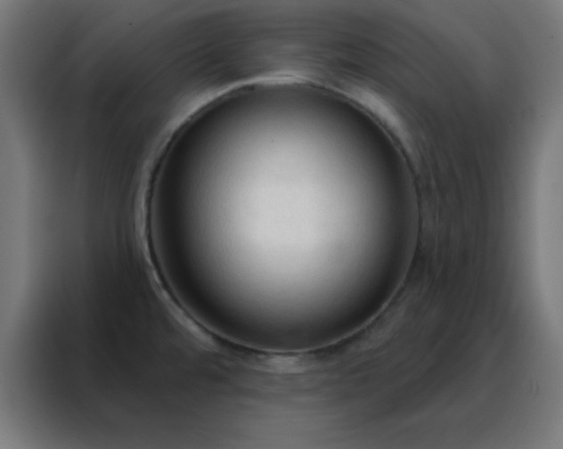 X0000088221480200705221753