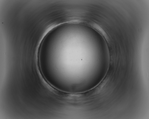 X0000088221483200705221753