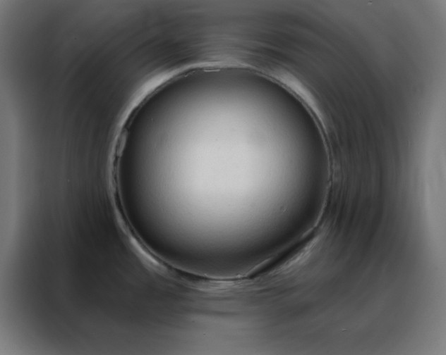 X0000088221485200705221753