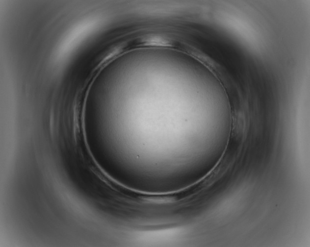 X0000088221487200705221753