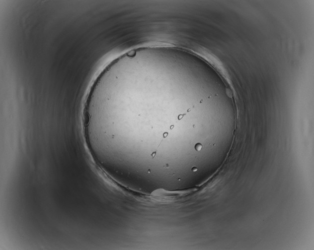 X0000088221488200705221753