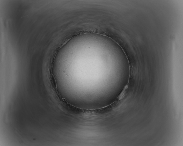 X0000088221489200705221753