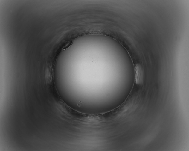 X0000088221491200705221753