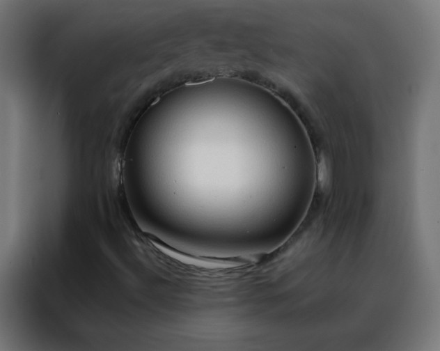 X0000088221492200705221753