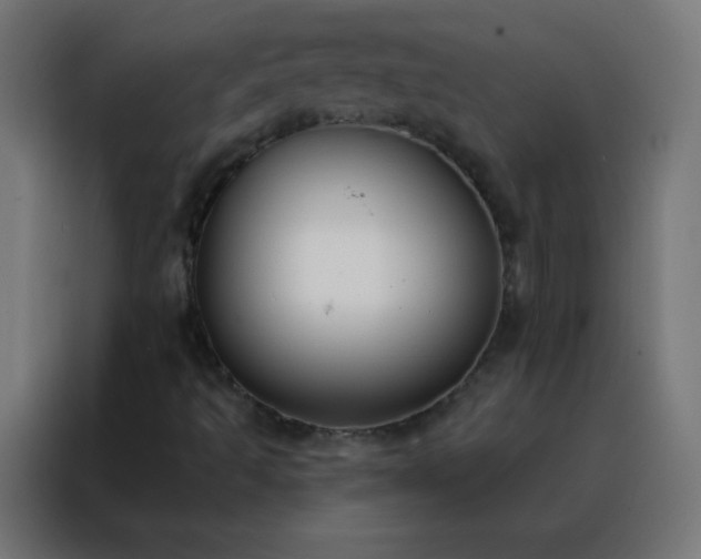 X0000088221493200705221753