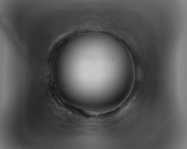 X0000088221494200705221753