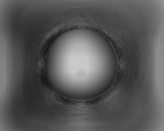 X0000088221495200705221753