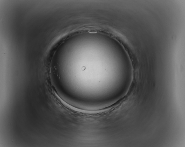 X0000088221496200705221753