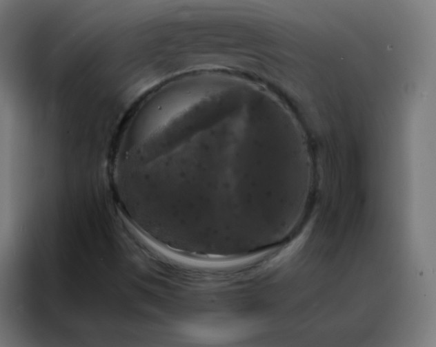 X0000088221497200705221753