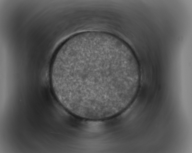 X0000088221498200705221753