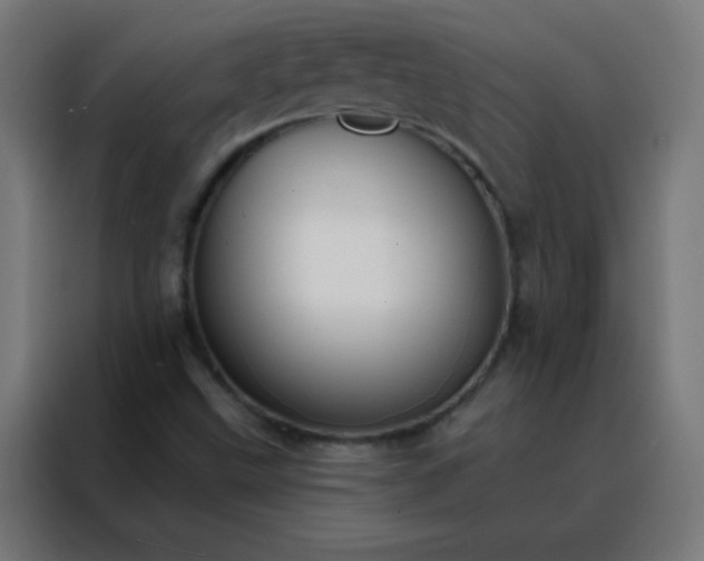 X0000088221499200705221753