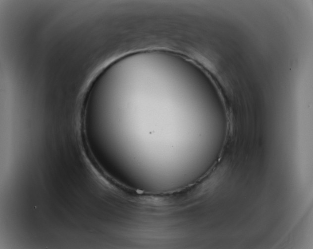 X0000088221500200705221753