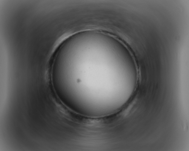 X0000088221501200705221753