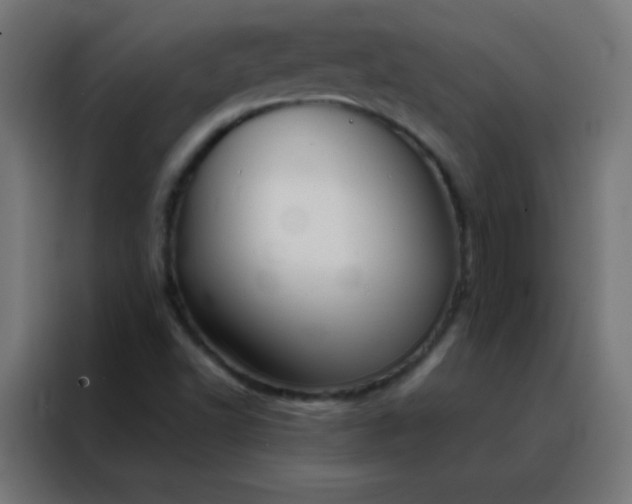 X0000088221502200705221753