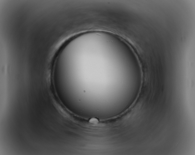 X0000088221503200705221753