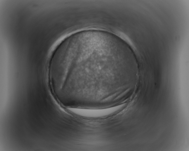 X0000088221504200705221753