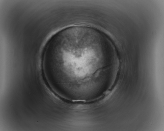 X0000088221506200705221753