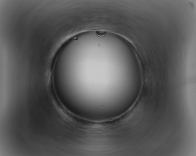 X0000088221507200705221753