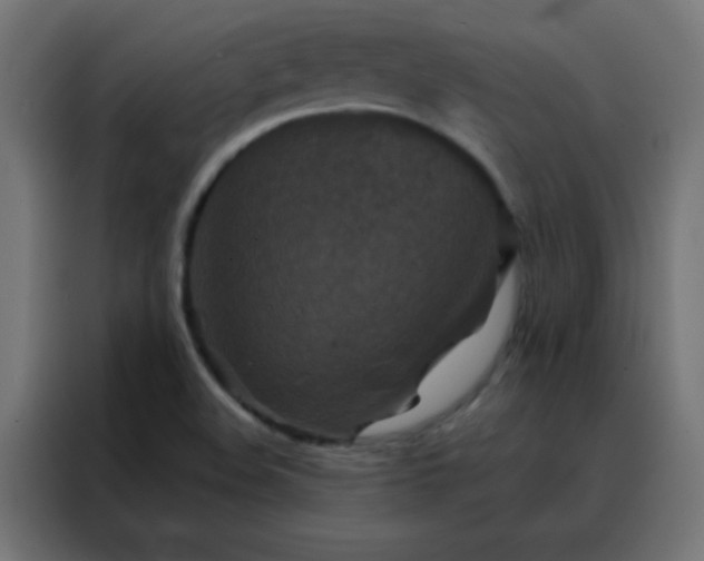 X0000088221508200705221753