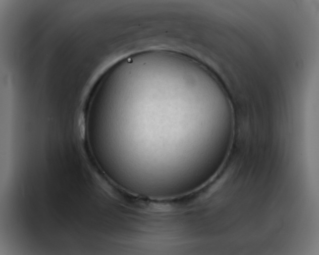 X0000088221509200705221753