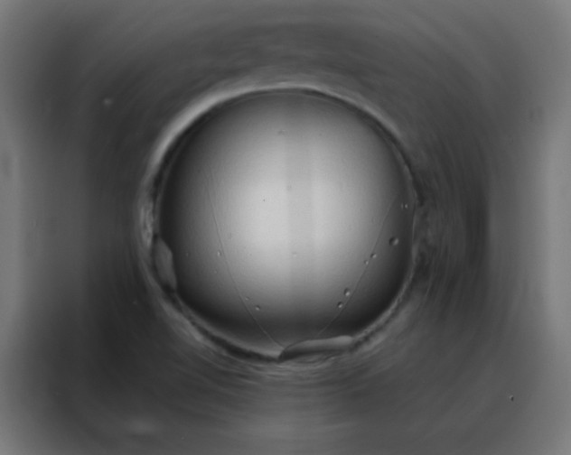 X0000088221510200705221753