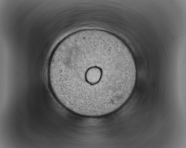 X0000088221514200705221753