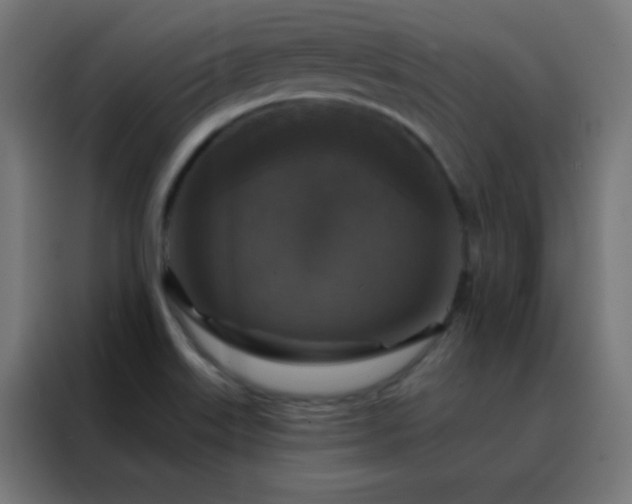 X0000088221515200705221753