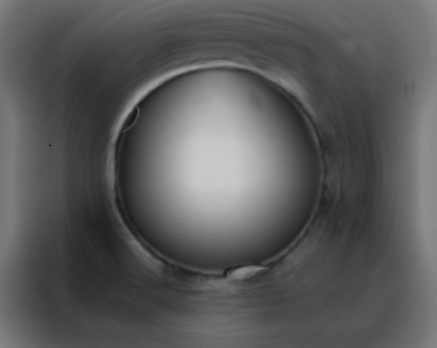 X0000088221516200705221753