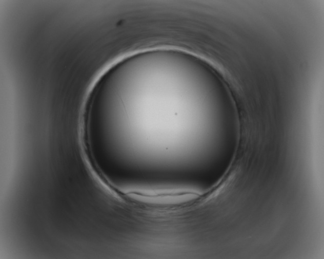 X0000088221518200705221753