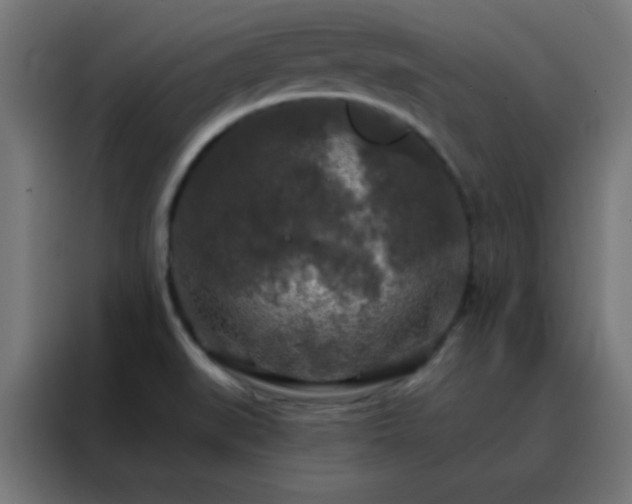 X0000088221519200705221753