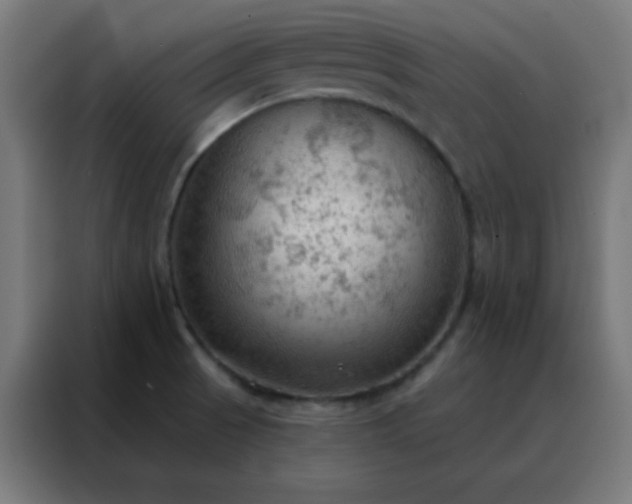 X0000088221521200705221753