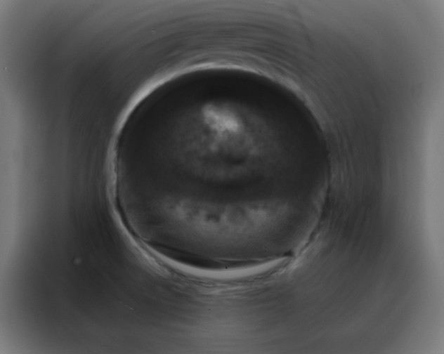 X0000088221522200705221753