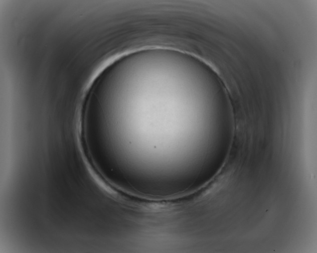 X0000088221523200705221753