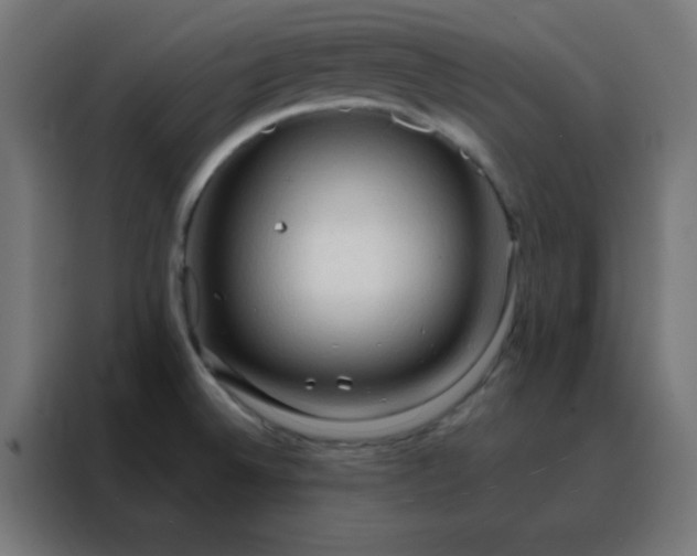 X0000088221524200705221753