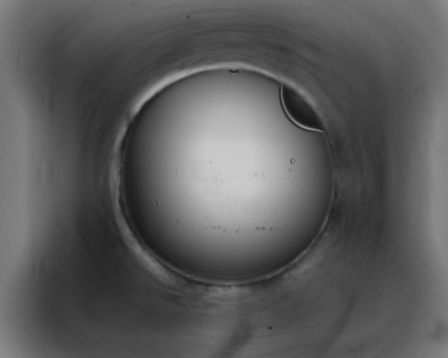 X0000088221526200705221753