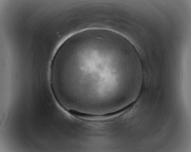 X0000088221527200705221753