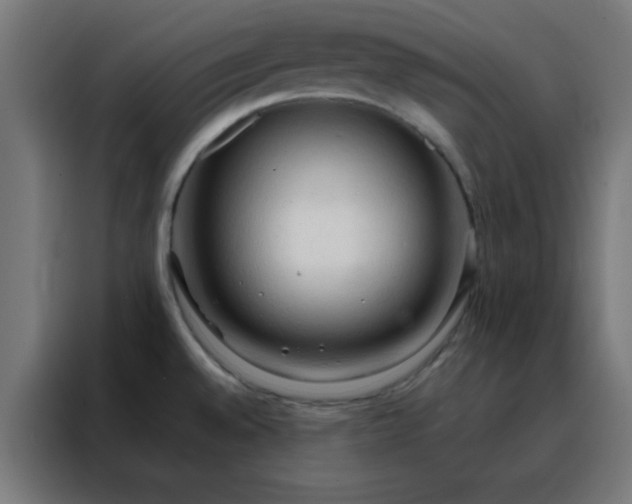 X0000088221528200705221753