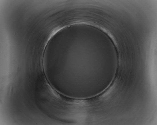 X0000088221529200705221753