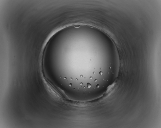 X0000088221530200705221753