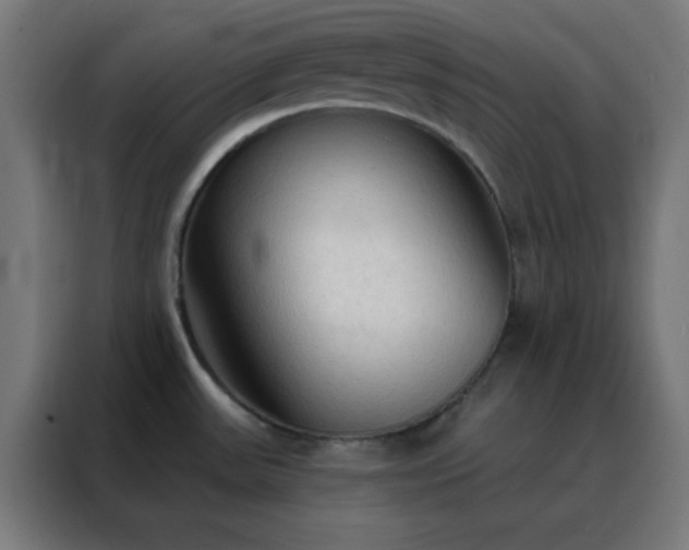 X0000088221531200705221753