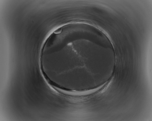 X0000088221533200705221753