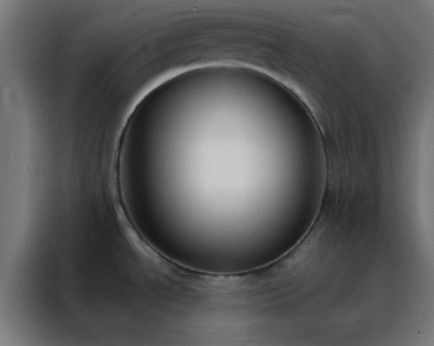 X0000088221534200705221753