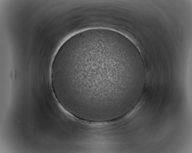 X0000088221535200705221753