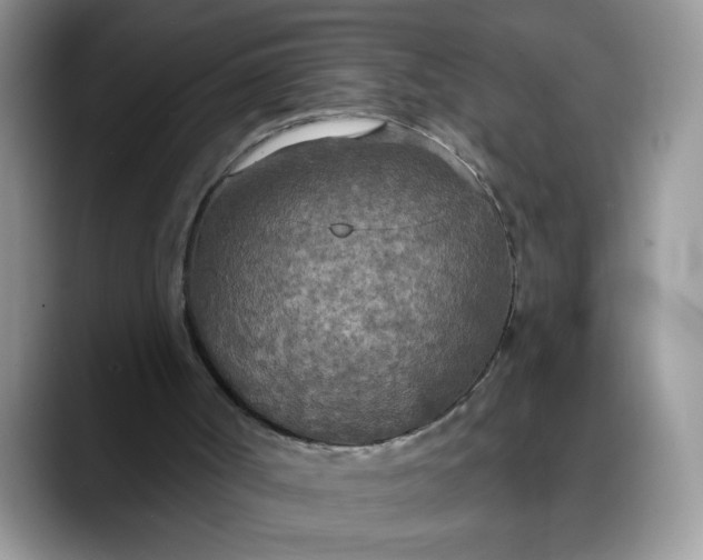 X0000088220002200705292123