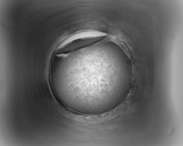 X0000088220003200705292123