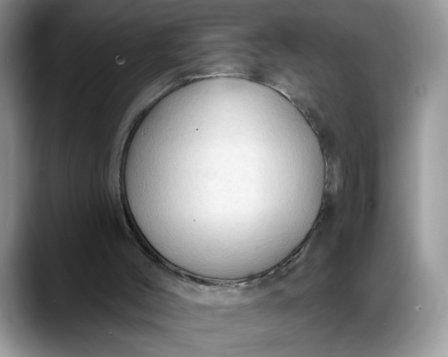 X0000088220004200705292123