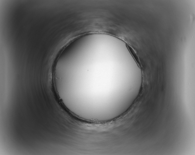 X0000088220005200705292123