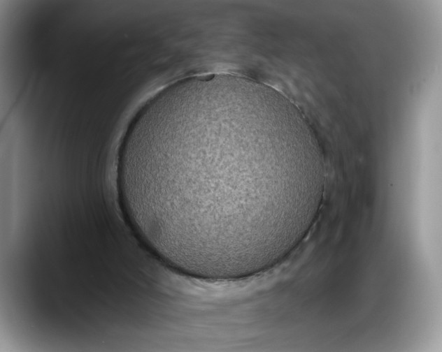 X0000088220006200705292123