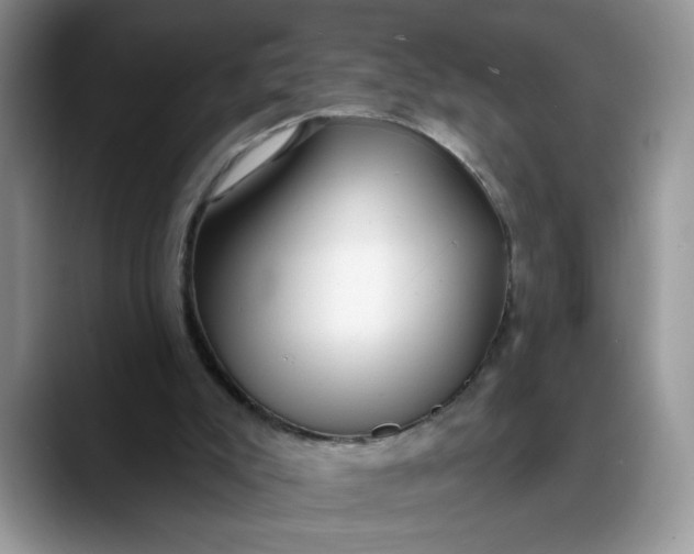 X0000088220007200705292123